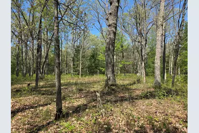 10622 W 7 Mile Road, Irons, MI 49644 - Photo 18