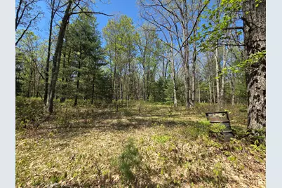 10622 W 7 Mile Road, Irons, MI 49644 - Photo 24