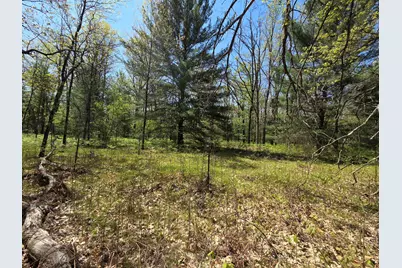 10622 W 7 Mile Road, Irons, MI 49644 - Photo 22