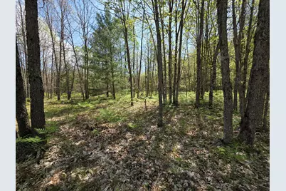 10622 W 7 Mile Road, Irons, MI 49644 - Photo 28