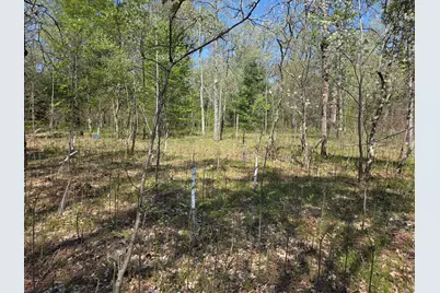 10622 W 7 Mile Road, Irons, MI 49644 - Photo 14