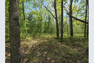 10622 W 7 Mile Road, Irons, MI 49644 - Photo 30