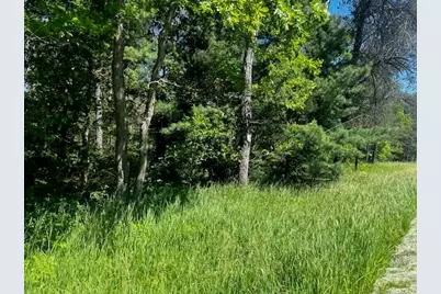 Parcel 1 M-37, Irons, MI 49644 - Photo 12