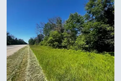 Parcel 1 M-37, Irons, MI 49644 - Photo 14