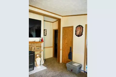 79 Hawley Street, Quincy, MI 49082 - Photo 8