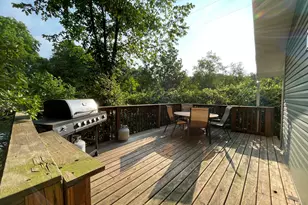 13910 Sheridan Rd, Manchester, MI 48158 - Photo 4