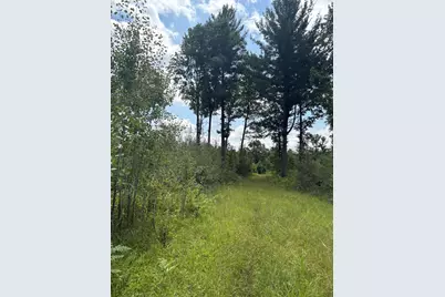 Vl 5 Mile Road, Morley, MI 49336 - Photo 110