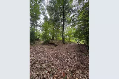 Vl 5 Mile Road, Morley, MI 49336 - Photo 84