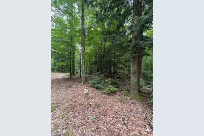 Vl 5 Mile Road, Morley, MI 49336 - Photo 54