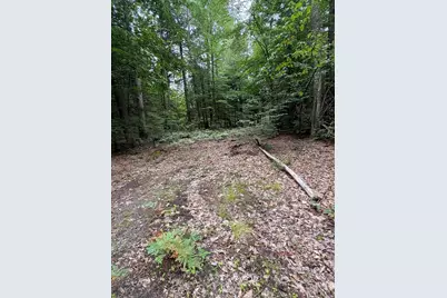 Vl 5 Mile Road, Morley, MI 49336 - Photo 58