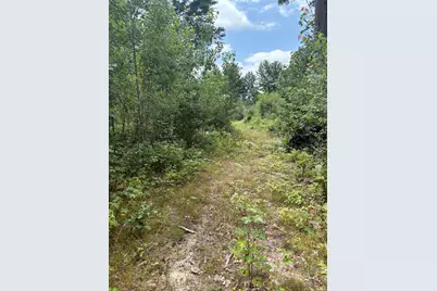 Vl 5 Mile Road, Morley, MI 49336 - Photo 108