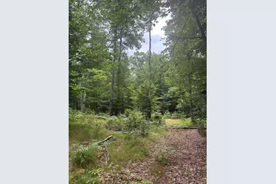 Vl 5 Mile Road, Morley, MI 49336 - Photo 22