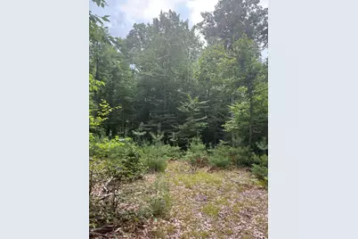 Vl 5 Mile Road, Morley, MI 49336 - Photo 26