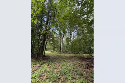 Vl 5 Mile Road, Morley, MI 49336 - Photo 142