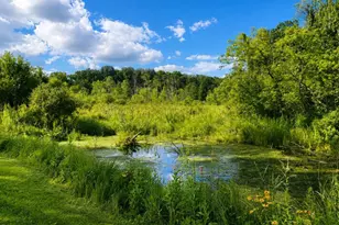 6545 M-89 Hwy, Richland, MI 49083 - Photo 14