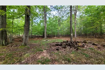 N Diablo, Pentwater, MI 49449 - Photo 1