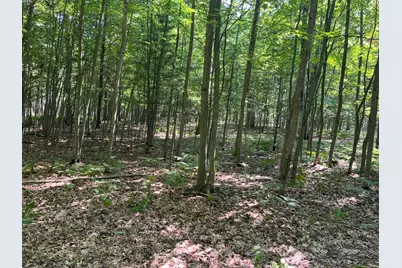 N Diablo, Pentwater, MI 49449 - Photo 20