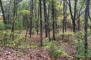 4051 Highview Path, Coloma, MI 49038 - Photo 2