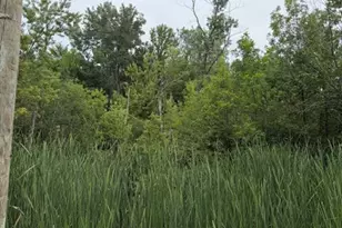 W Linco Road - Parcel, Stevensville, MI 49127 - Photo 1