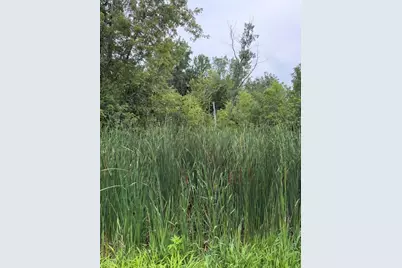 W. Linco Road - Parcel #3-C, Stevensville, MI 49127 - Photo 2