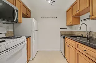 541 Long Shr Dr, Ann Arbor, MI 48105 - Photo 10