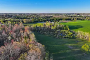 17463 15 Mile Rd, Leroy, MI 49655 - Photo 46