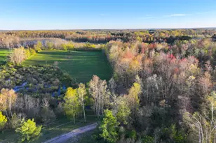 17463 15 Mile Rd, Leroy, MI 49655 - Photo 44