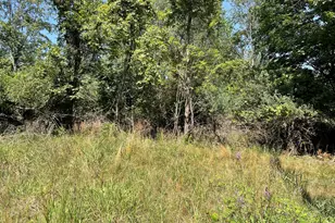 6893 Wiley Rd, Fennville, MI 49408 - Photo 1