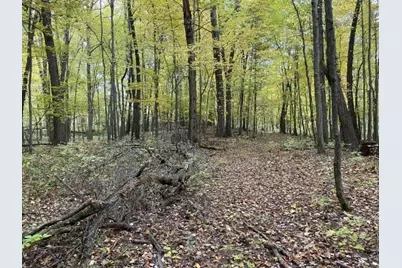 6 Mile Road, Athens, MI 49011 - Photo 8