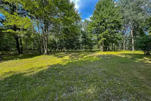 10013 E Beal City Rd, Mount Pleasant, MI 48858 - Photo 44