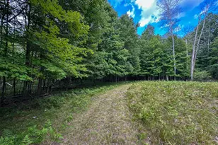 10013 E Beal City Rd, Mount Pleasant, MI 48858 - Photo 40