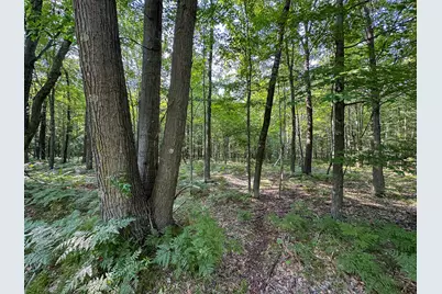 10013 E Beal City Road, Mount Pleasant, MI 48858 - Photo 46