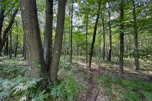 10013 E Beal City Rd, Mount Pleasant, MI 48858 - Photo 46