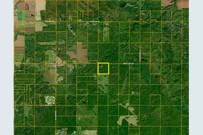 10013 E Beal City Road, Mount Pleasant, MI 48858 - Photo 70