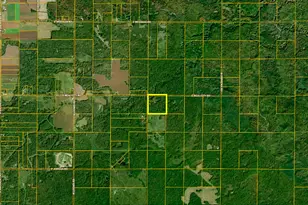 10013 E Beal City Rd, Mount Pleasant, MI 48858 - Photo 70