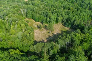 10013 E Beal City Rd, Mount Pleasant, MI 48858 - Photo 36