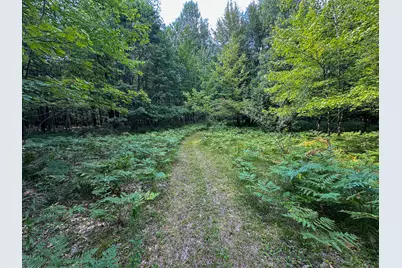 10013 E Beal City Road, Mount Pleasant, MI 48858 - Photo 48