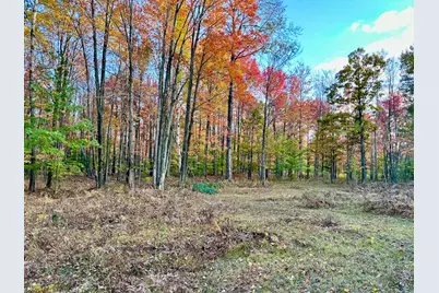 10013 E Beal City Road, Mount Pleasant, MI 48858 - Photo 48