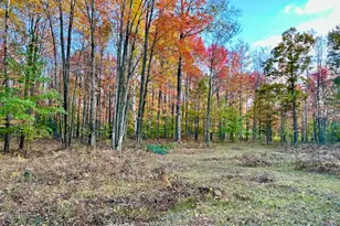 10013 E Beal City Rd, Mount Pleasant, MI 48858 - Photo 48