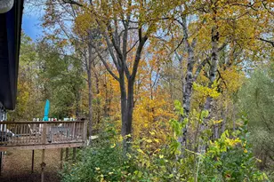 10013 E Beal City Rd, Mount Pleasant, MI 48858 - Photo 16