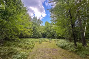 10013 E Beal City Rd, Mount Pleasant, MI 48858 - Photo 8