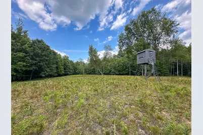 10013 E Beal City Road, Mount Pleasant, MI 48858 - Photo 46