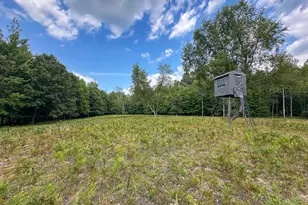 10013 E Beal City Rd, Mount Pleasant, MI 48858 - Photo 46