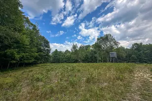10013 E Beal City Rd, Mount Pleasant, MI 48858 - Photo 4