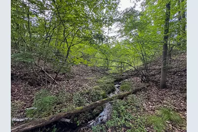 10013 E Beal City Road, Mount Pleasant, MI 48858 - Photo 6