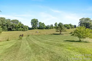 875 E Sager Rd, Hastings, MI 49058 - Photo 10