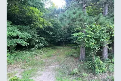 9 Mile Road, Kaleva, MI 49645 - Photo 6
