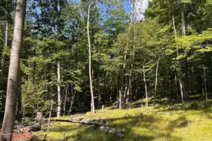 11992 Cheyenne Wells Trail, Canadian Lakes, MI 49346 - Photo 1
