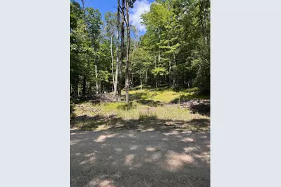 11992 Cheyenne Wells Trail, Canadian Lakes, MI 49346 - Photo 4