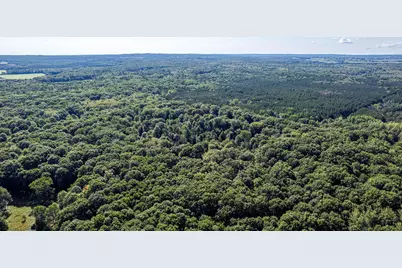 1245 W River Ridge Road, Pentwater, MI 49449 - Photo 12
